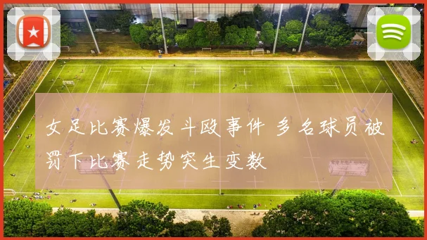 女足比赛爆发斗殴事件 多名球员被罚下比赛走势突生变数