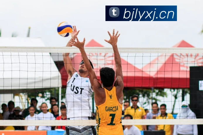 开云手机入口平台生态图