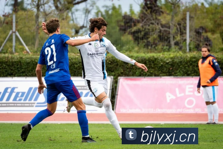 开云手机入口APP 封面图